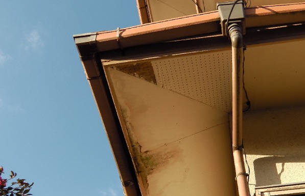 雨樋　軒天　劣化